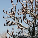 Schon was vor vom 26. bis 28. Februar?