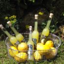 Kulinarische Messen: Lecker und handgemacht von Genussmanufakturen